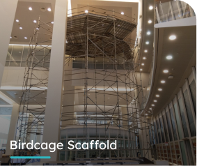 Birdcage Scaffold